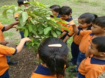 Plantation Plantation